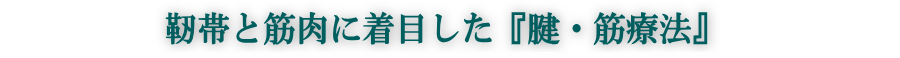 浦安市 整体治療院 健生